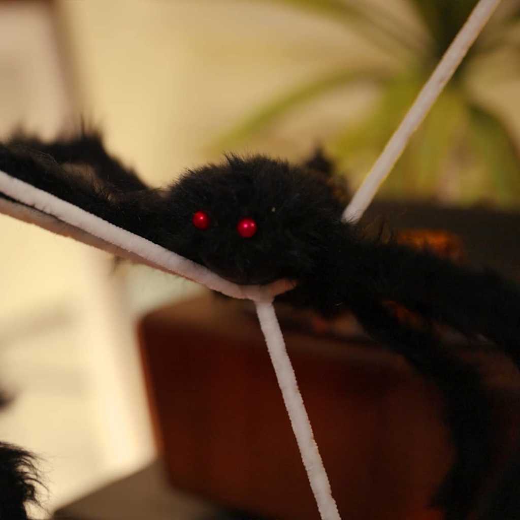 Halloween-Spinnen-Deko mit Netzen