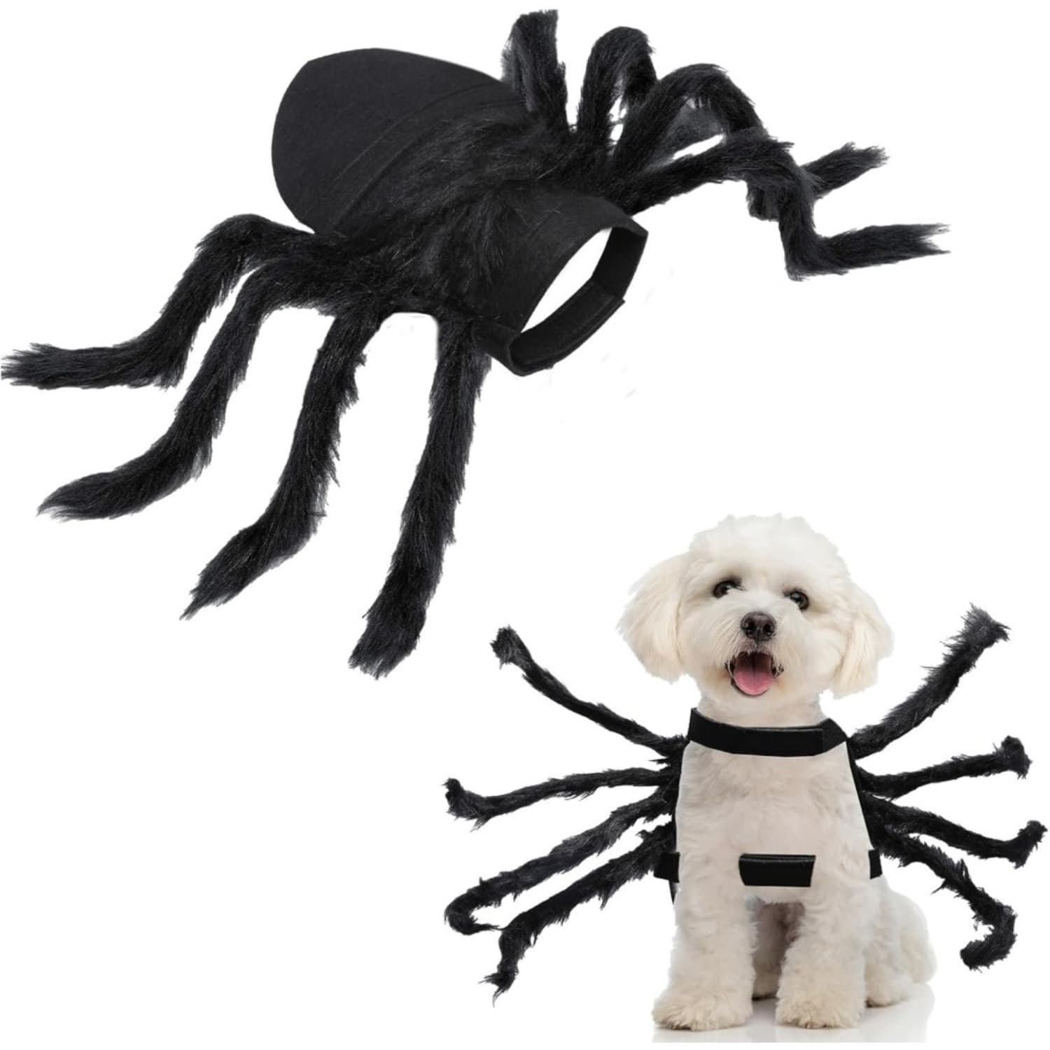 Spinnen-Kostüm für Hunde