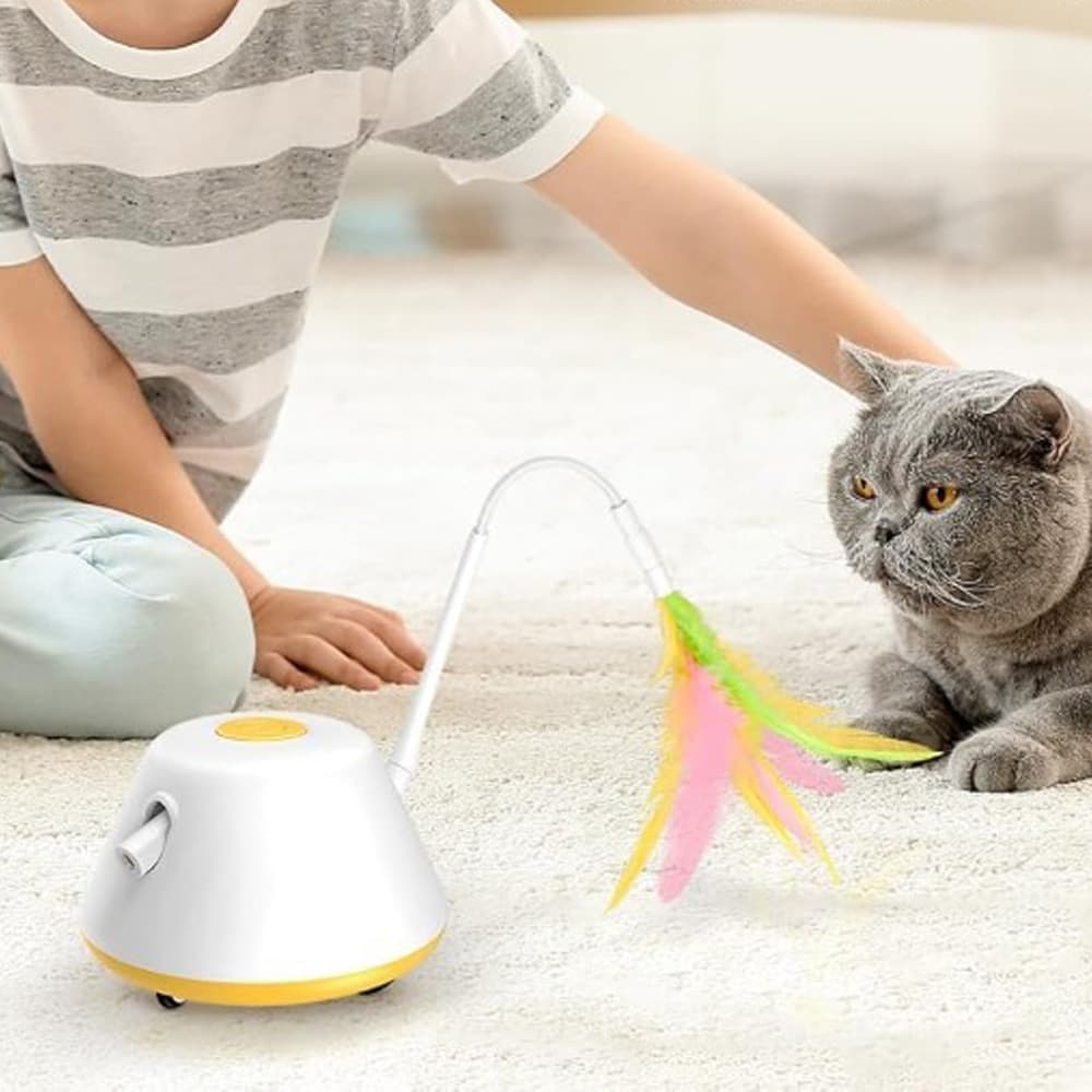 Katzenspielzeug in Gelb